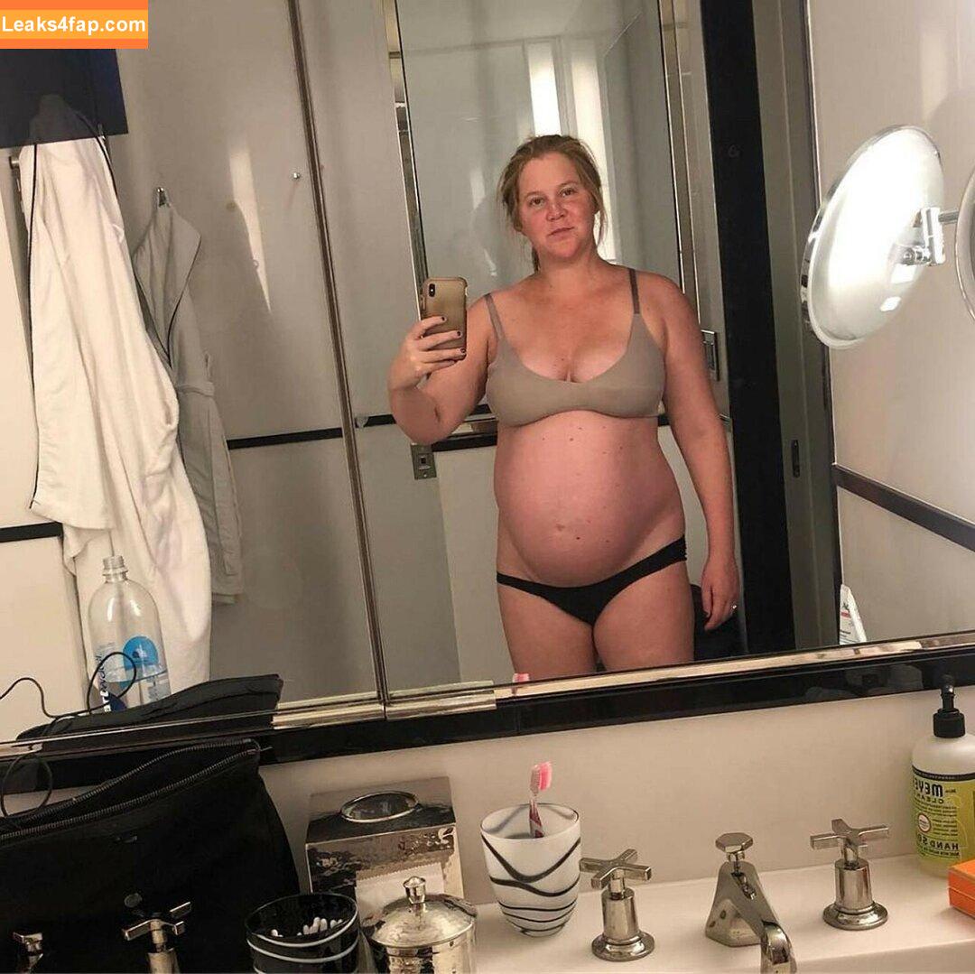 Amy Schumer / amyschumer leaked photo photo #0001