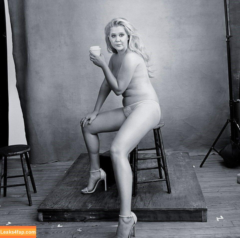 Amy Schumer / amyschumer слитое фото фото #0073