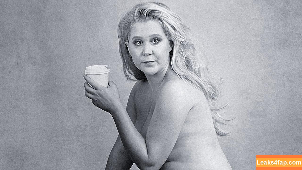 Amy Schumer / amyschumer leaked photo photo #0084