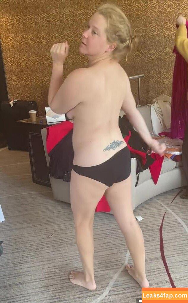 Amy Schumer / amyschumer leaked photo photo #0087