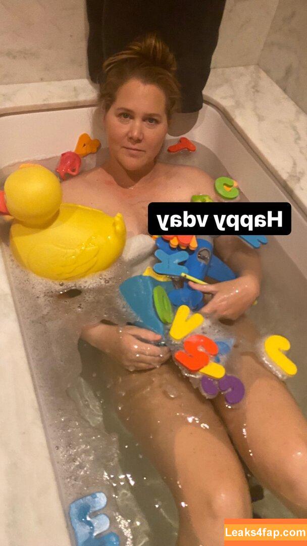 Amy Schumer / amyschumer leaked photo photo #0090