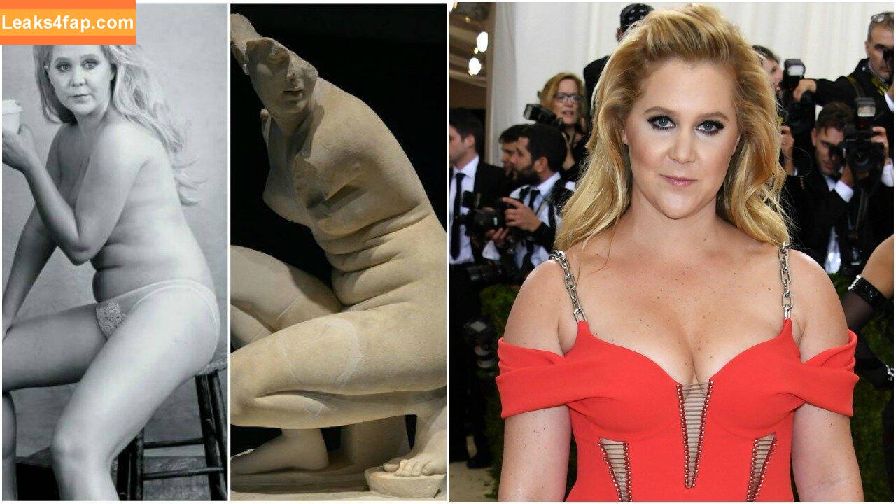 Amy Schumer / amyschumer leaked photo photo #0095