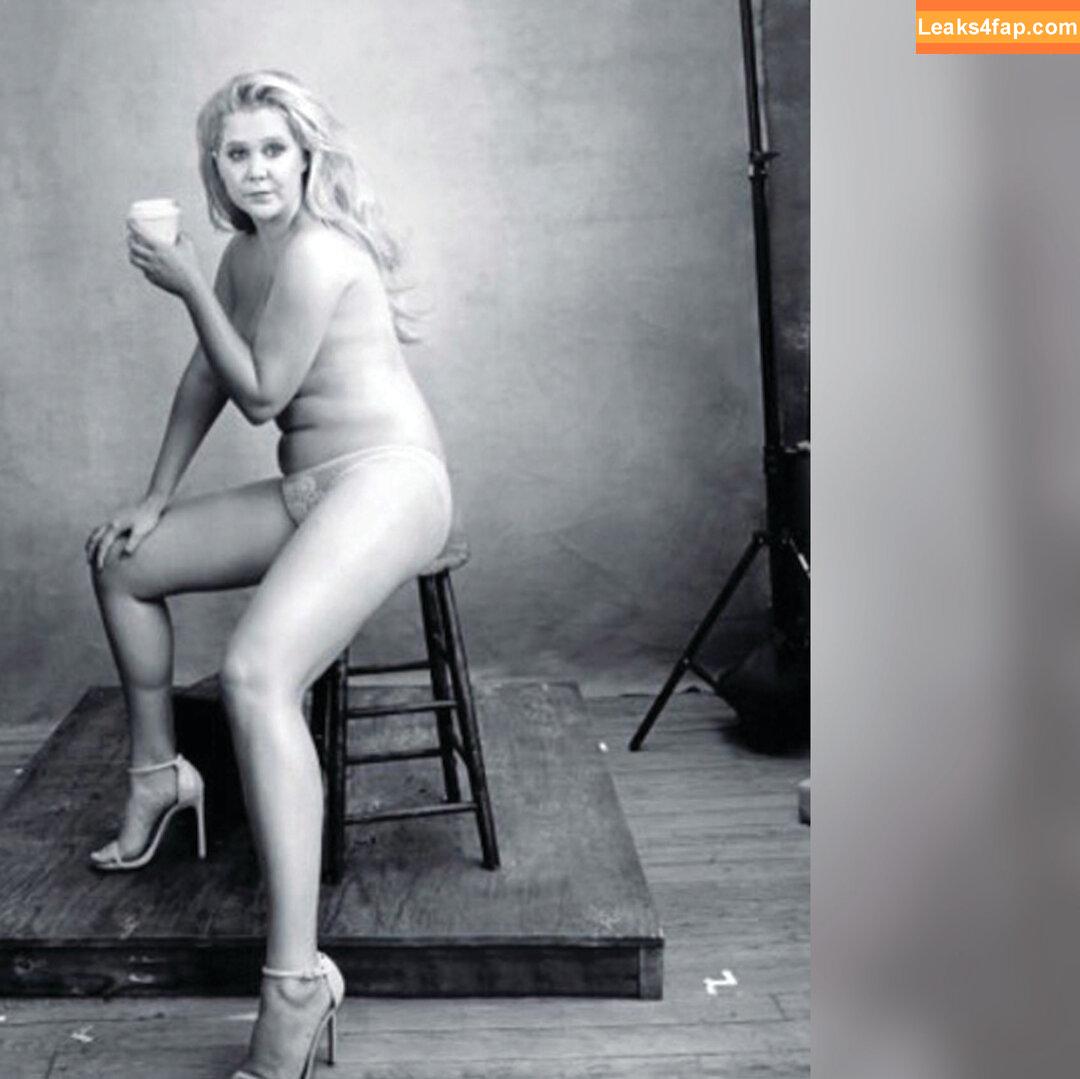 Amy Schumer / amyschumer leaked photo photo #0100