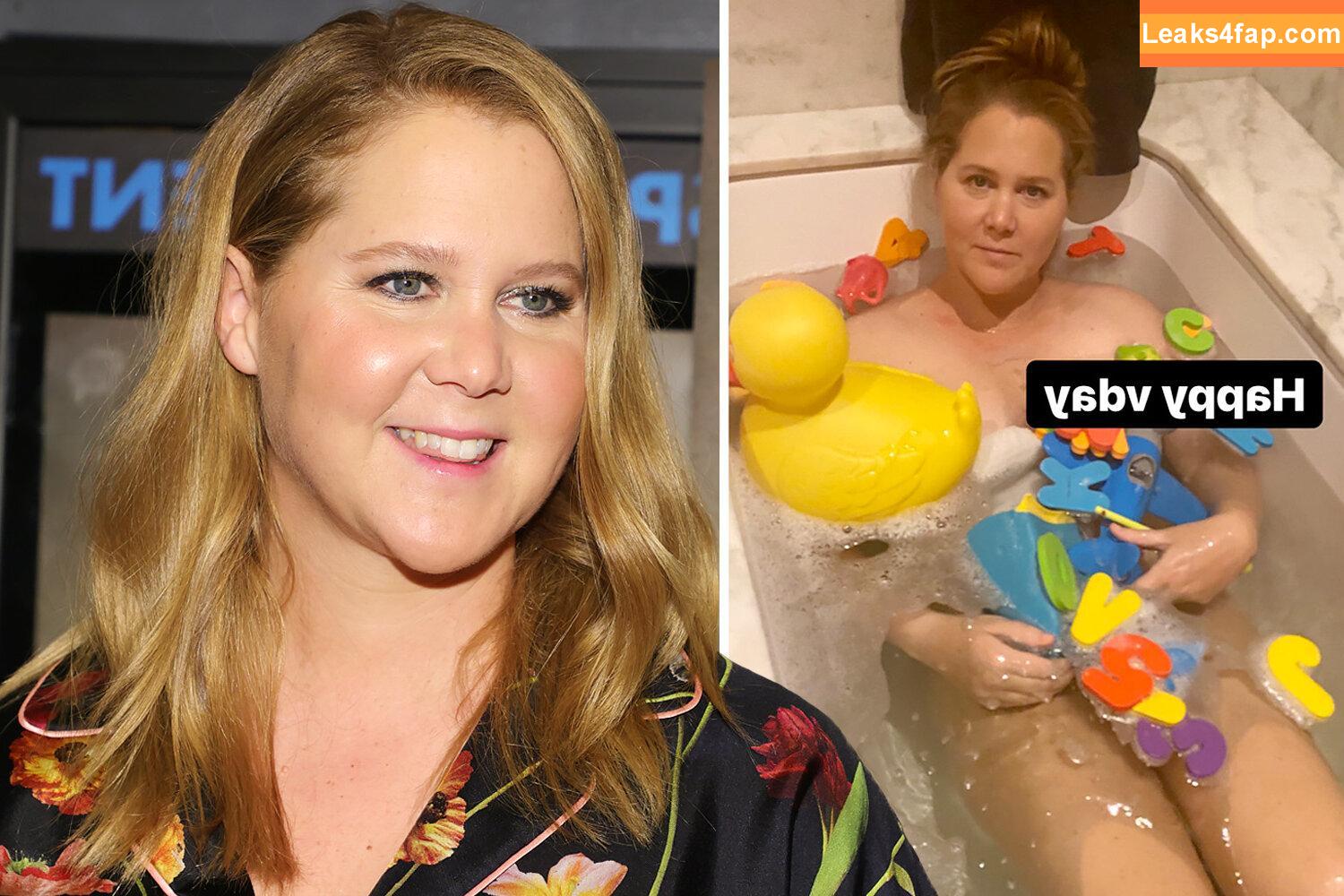 Amy Schumer / amyschumer leaked photo photo #0102