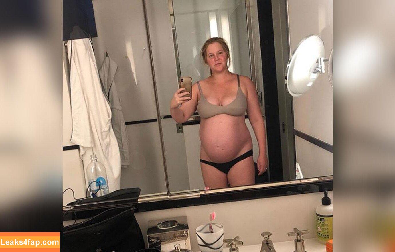 Amy Schumer / amyschumer leaked photo photo #0104
