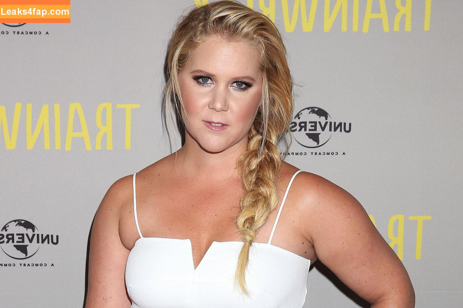 Amy Schumer / amyschumer leaked photo photo #0106