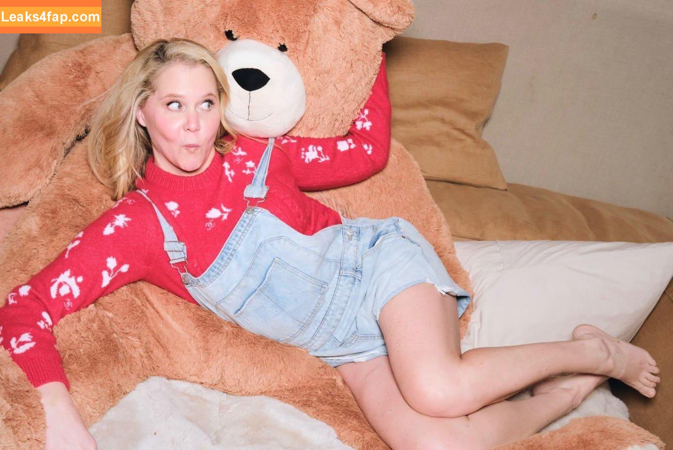 Amy Schumer / amyschumer leaked photo photo #0109