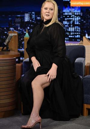 Amy Schumer photo #0082