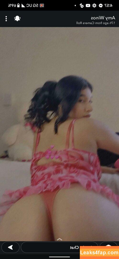 amywinos10 / AmyWinos / amywinos106.official leaked photo photo #0032