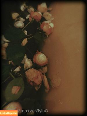 anast_ass11 photo #0015