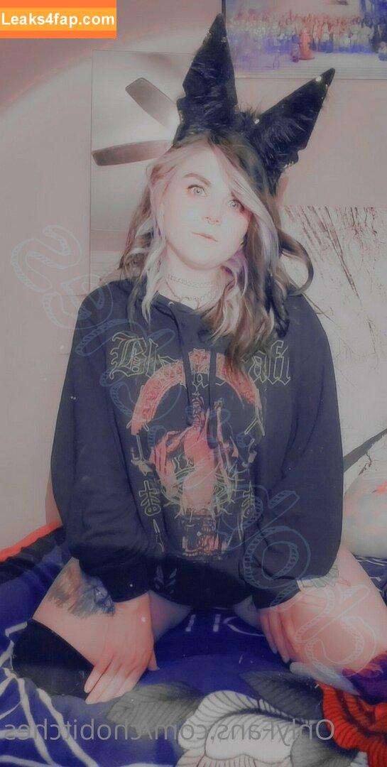 angelcakeannie / angelcakess leaked photo photo #0021