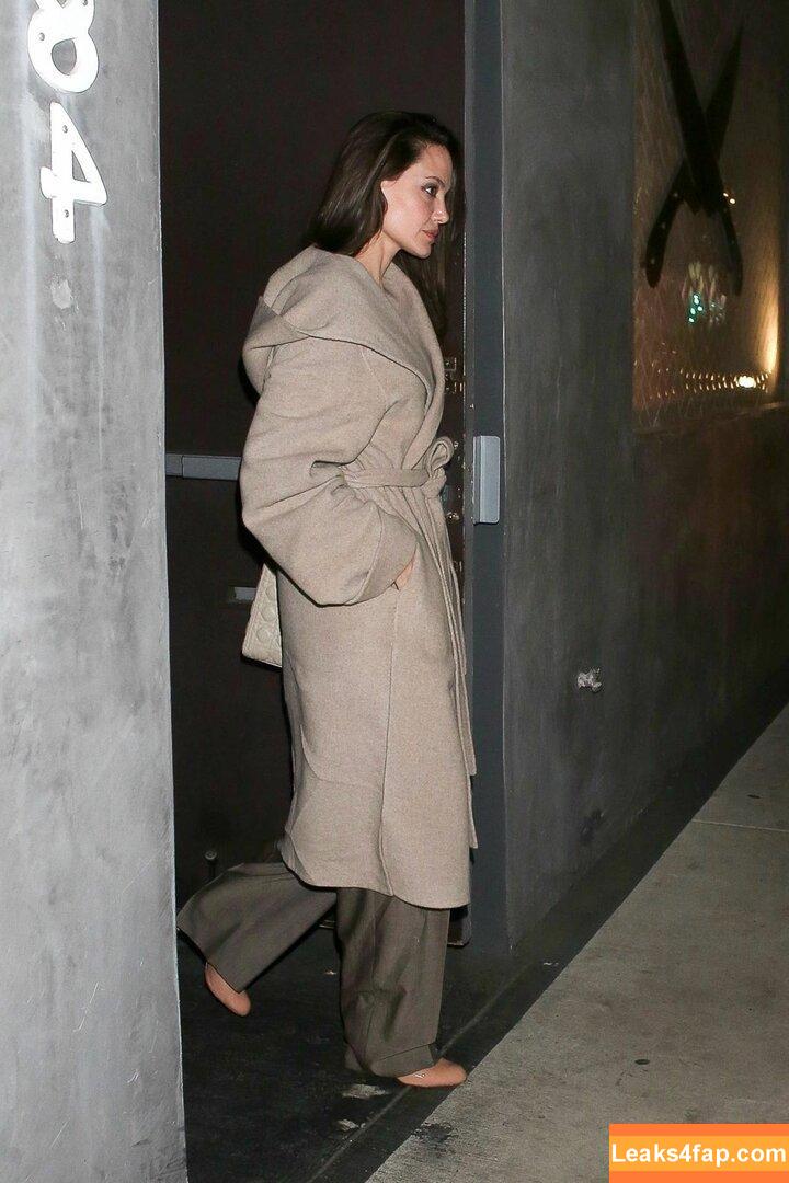 Angelina Jolie / angelinajolie leaked photo photo #0146