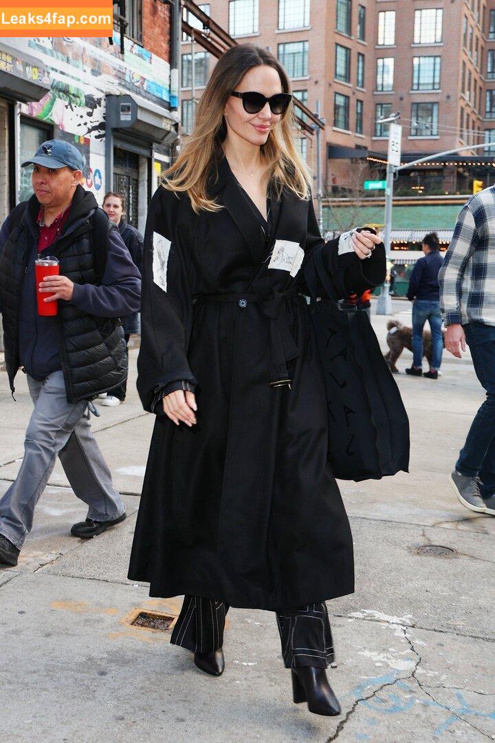 Angelina Jolie / angelinajolie leaked photo photo #0160