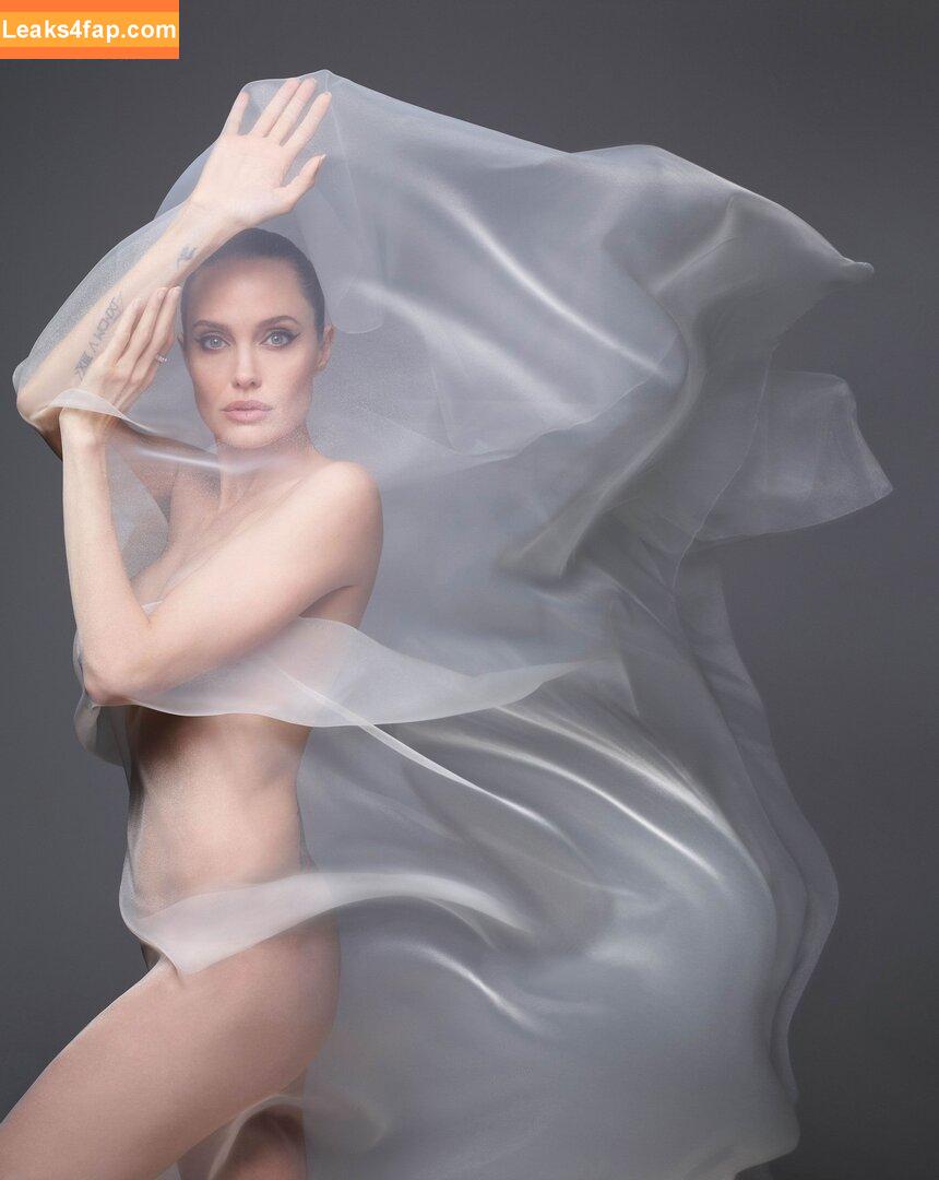 Angelina Jolie / angelinajolie leaked photo photo #0244