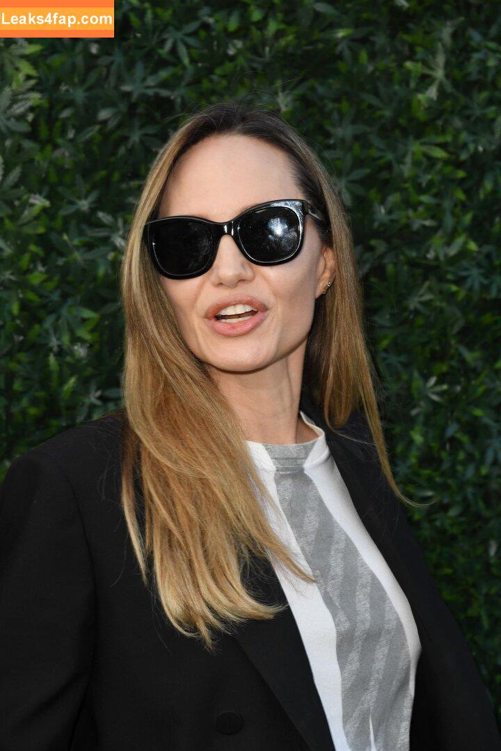 Angelina Jolie / angelinajolie leaked photo photo #0290