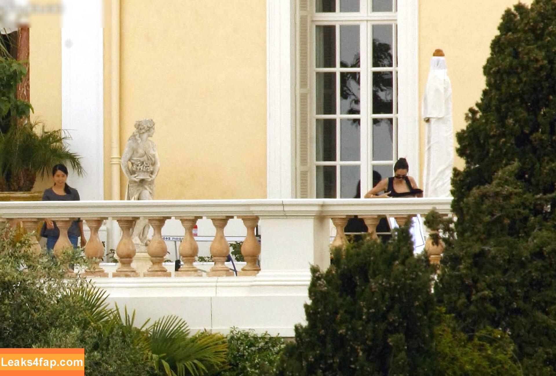 Angelina Jolie / angelinajolie leaked photo photo #0303