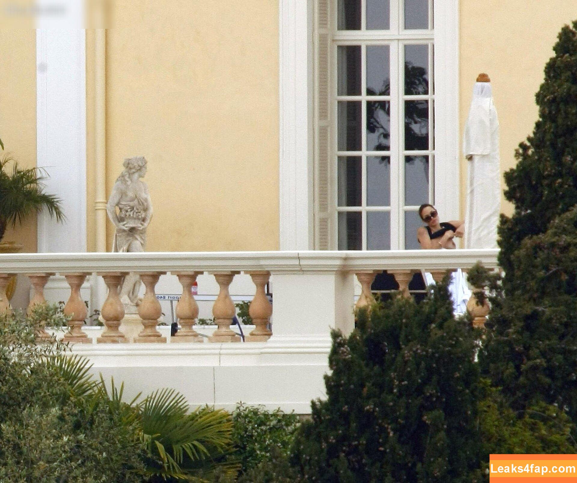 Angelina Jolie / angelinajolie leaked photo photo #0309