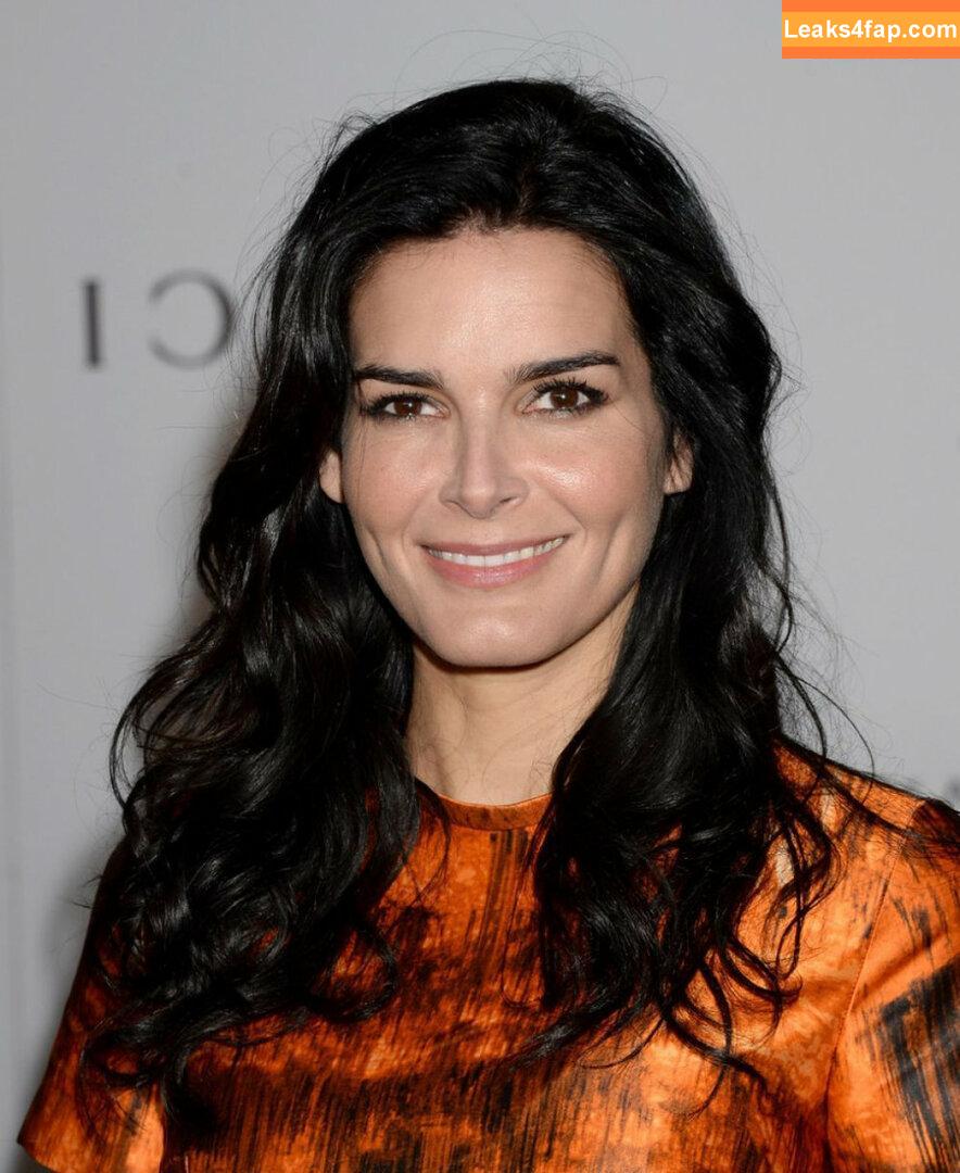 Angie Harmon / angieharmon слитое фото фото #0027