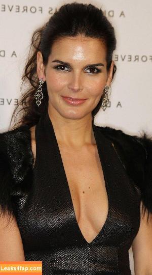 Angie Harmon photo #0052