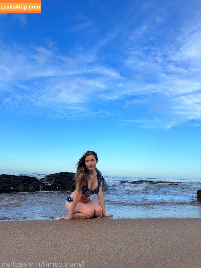 Animaechan leaked photo photo #0326