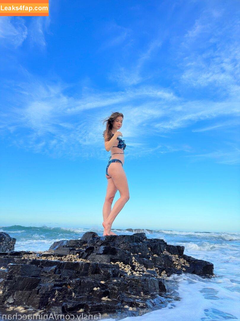 Animaechan leaked photo photo #0327