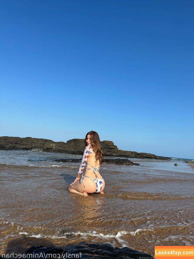 Animaechan leaked photo photo #0342