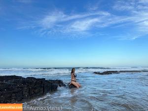 Animaechan photo #0332