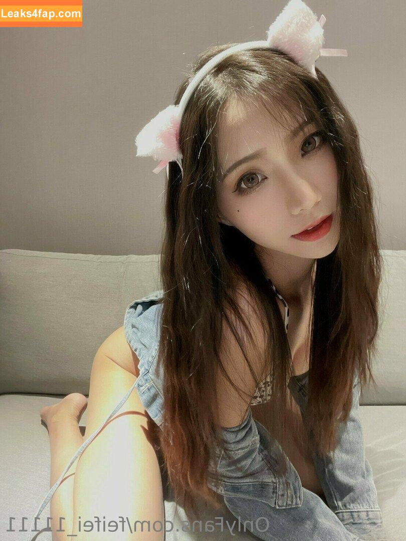 Anita Feifei / feifei_11111 leaked photo photo #0791