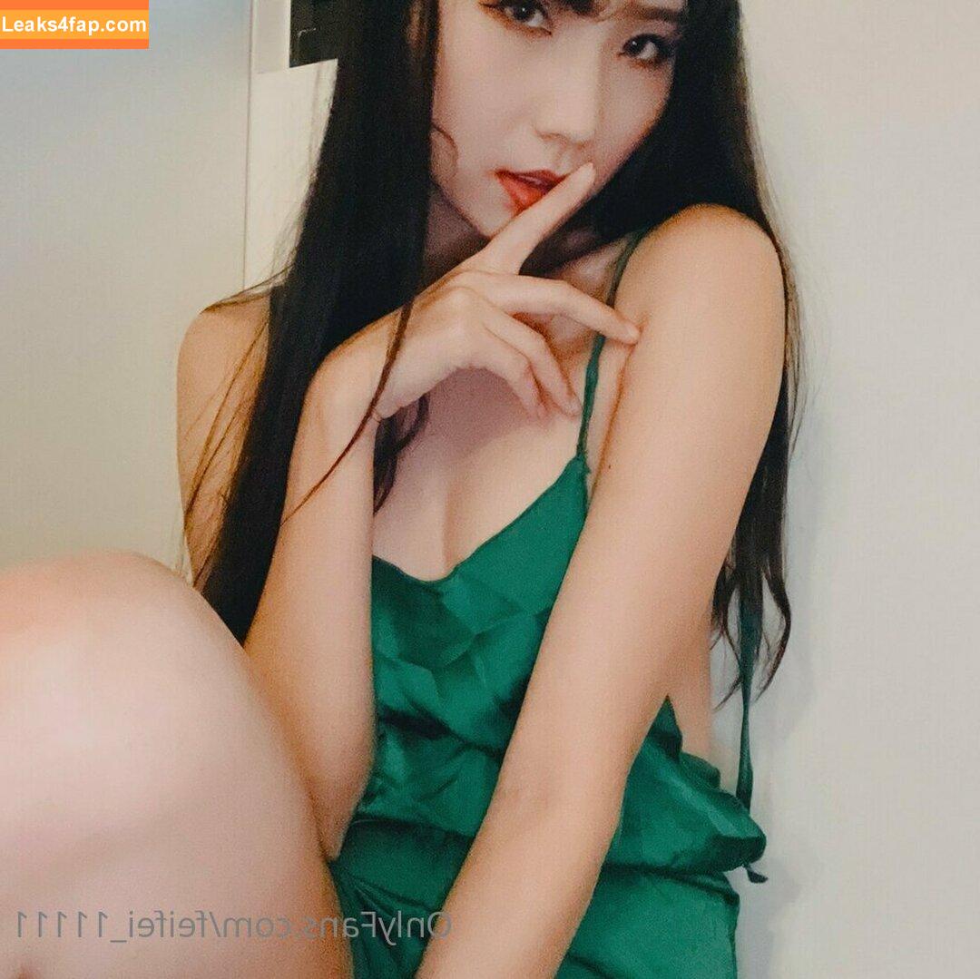 Anita Feifei / feifei_11111 leaked photo photo #2090