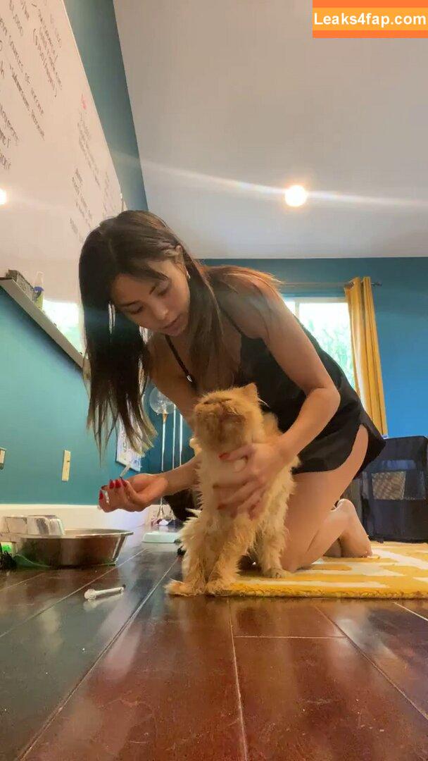 Anna Akana / AnnaAkana / wonderlandstudios leaked photo photo #0218