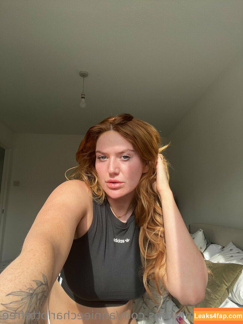 annieecharlottefree / annieecharlotte leaked photo photo #0554