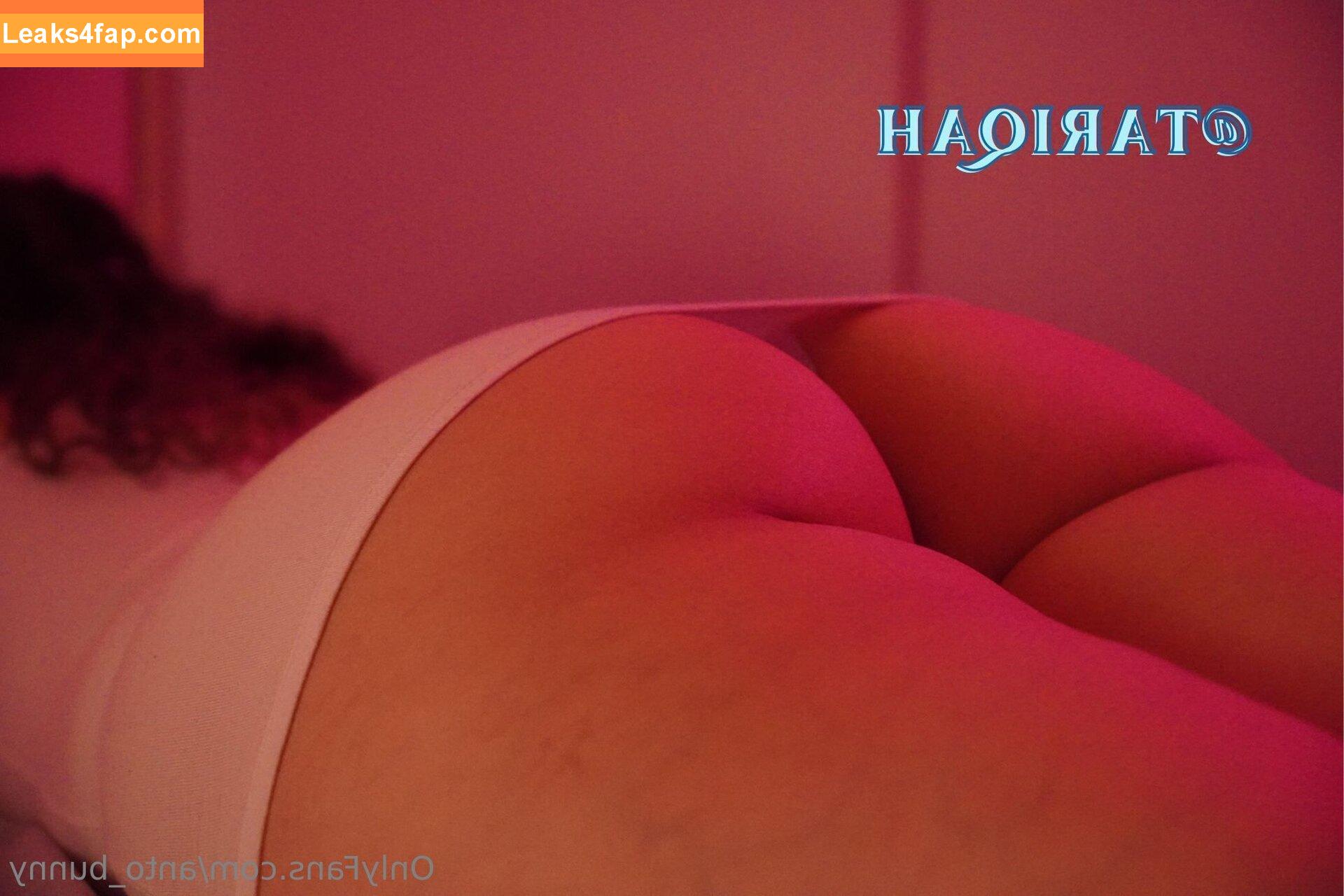 anto_bunny / anto_bunnyrosa leaked photo photo #0038