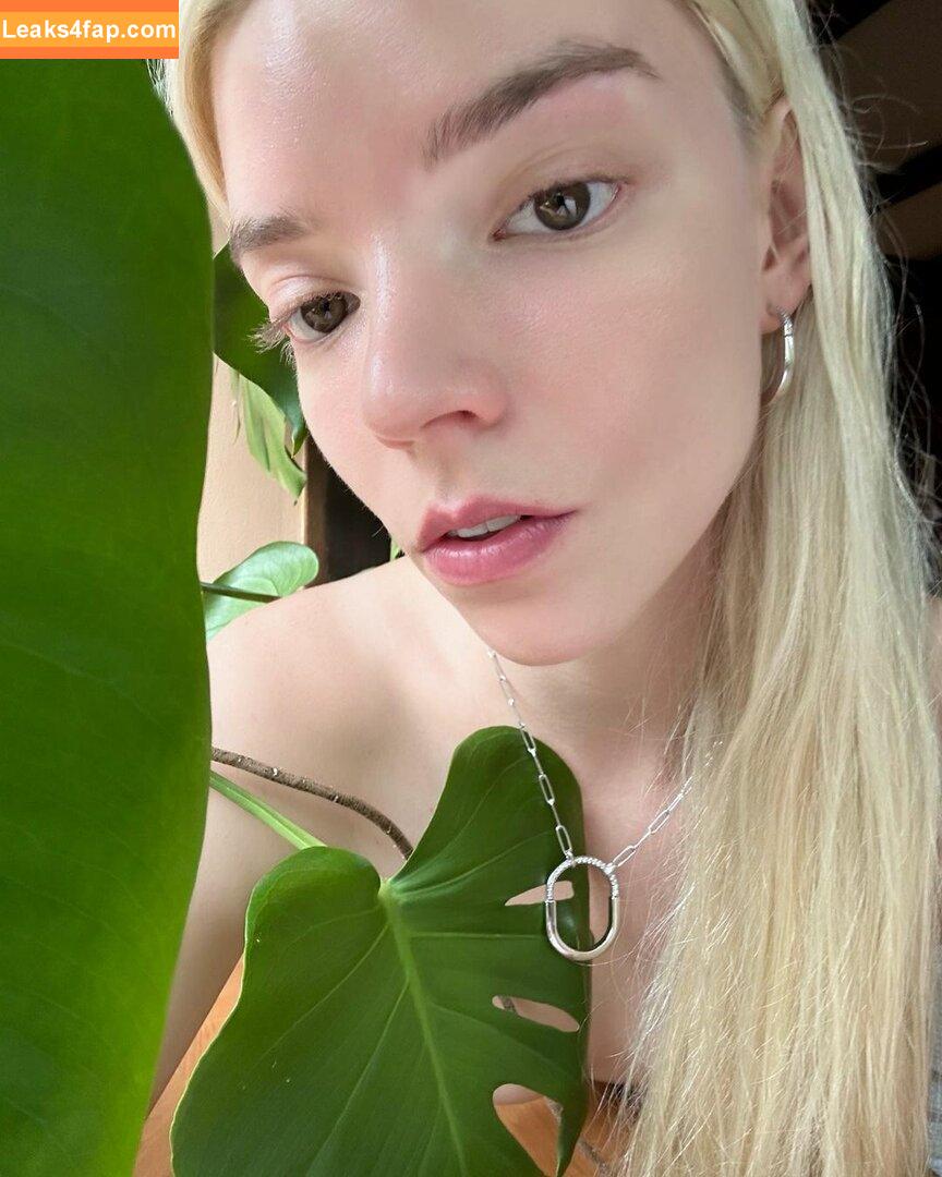 Anya Taylor-Joy / anyataylorjoy / owlicats leaked photo photo #0597