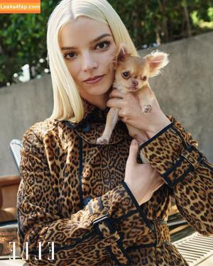 Anya Taylor-Joy photo #2537