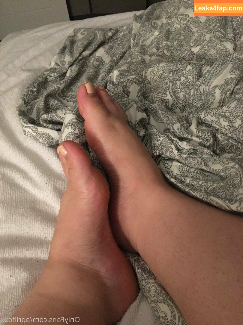aprilfoxx / april4life leaked photo photo #0022