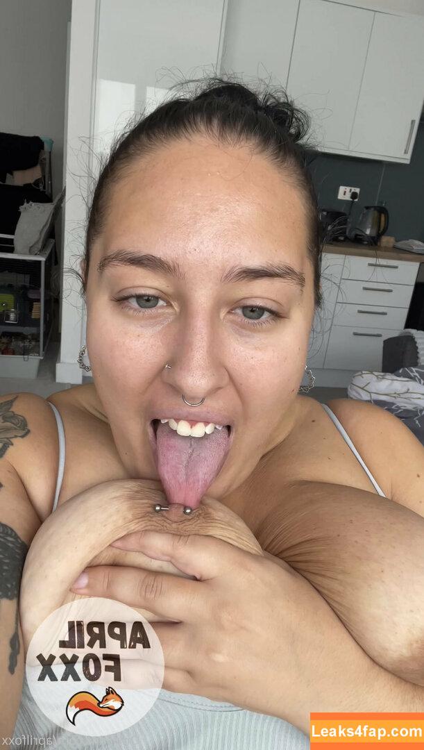 aprilfoxx / april4life leaked photo photo #0145
