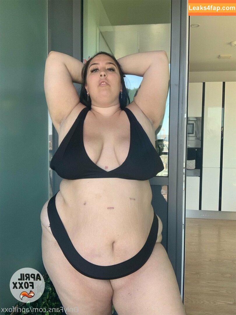 aprilfoxx / april4life leaked photo photo #0339