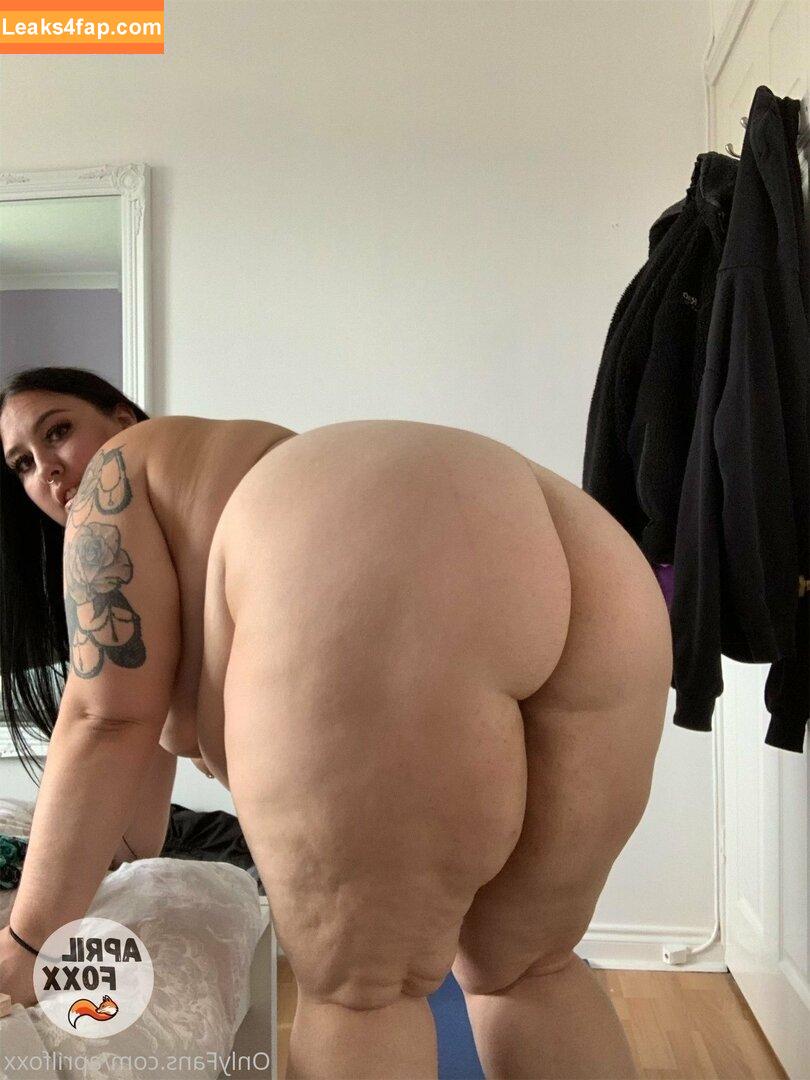 aprilfoxx / april4life leaked photo photo #0366