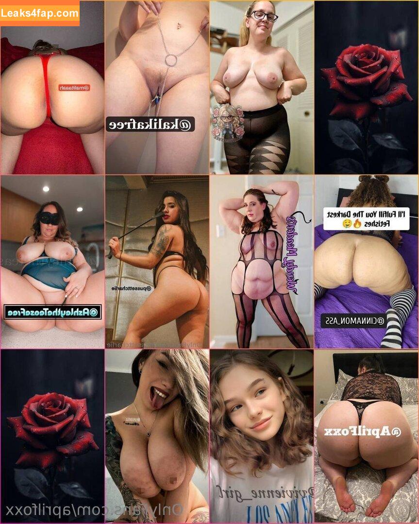 aprilfoxx / april4life leaked photo photo #0627