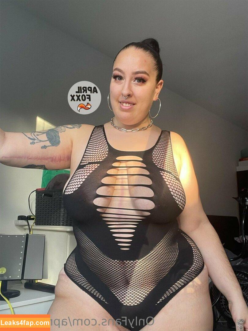 aprilfoxxxx / april4life leaked photo photo #0001