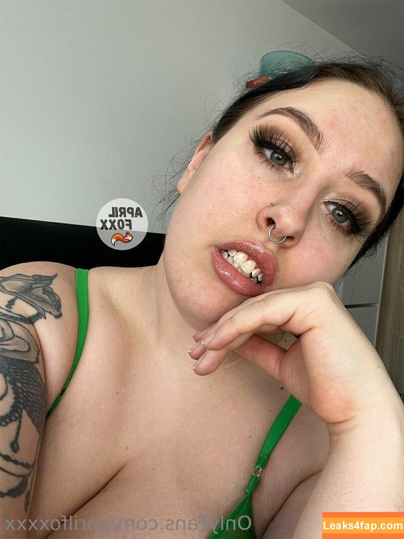 aprilfoxxxx /  leaked photo photo #0070