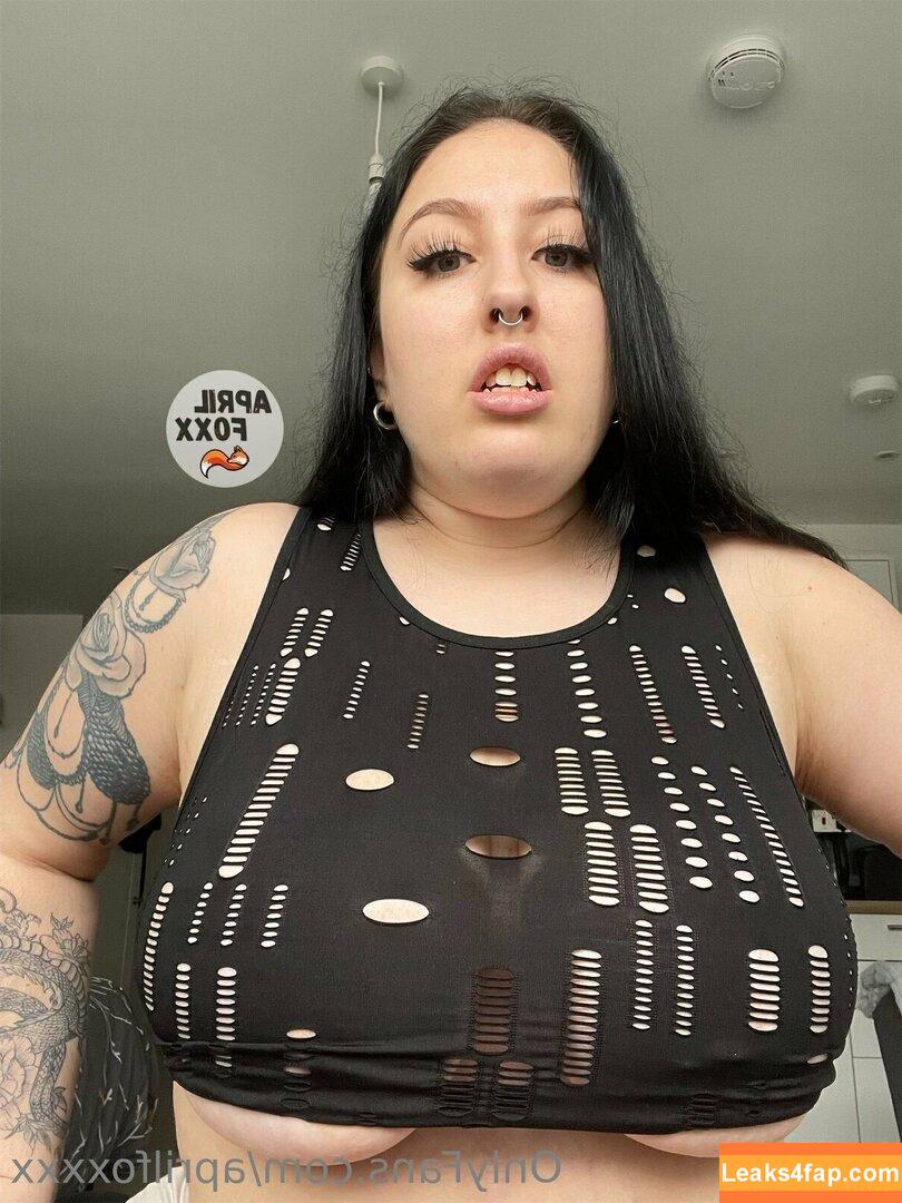 aprilfoxxxx / april4life leaked photo photo #0075