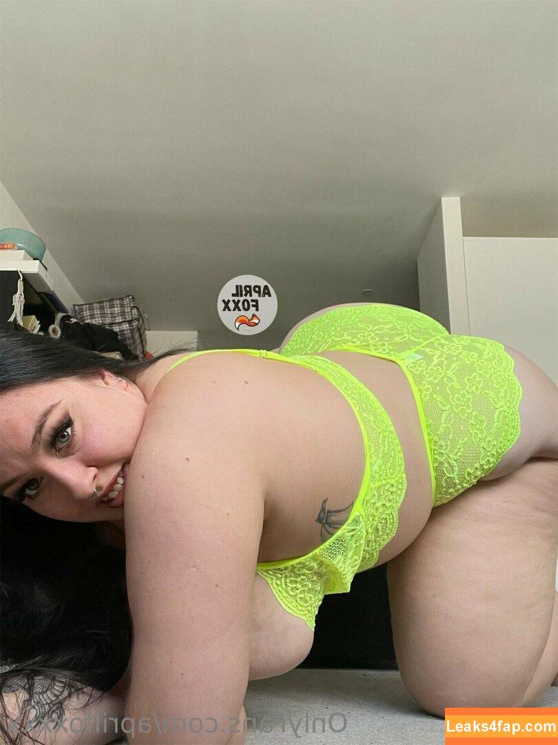 aprilfoxxxx / april4life leaked photo photo #0084