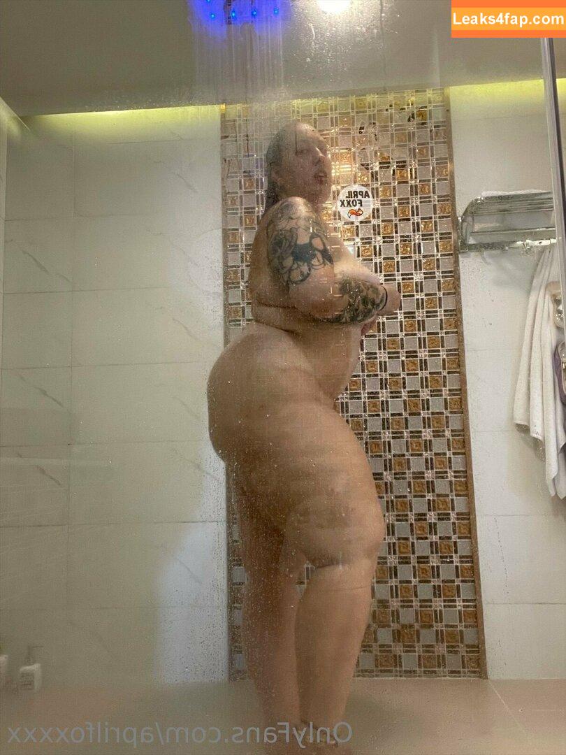 aprilfoxxxx / april4life leaked photo photo #0104