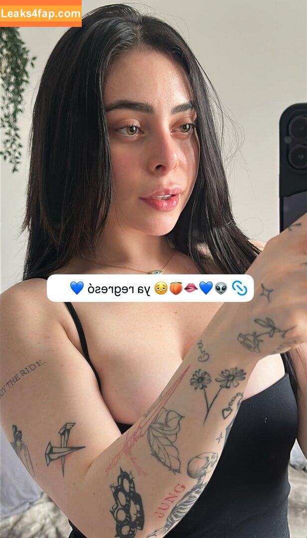 Aranzasinte / Aranza Sinte слитое фото фото #0413