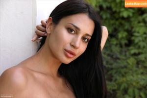 Aria Star photo #0178