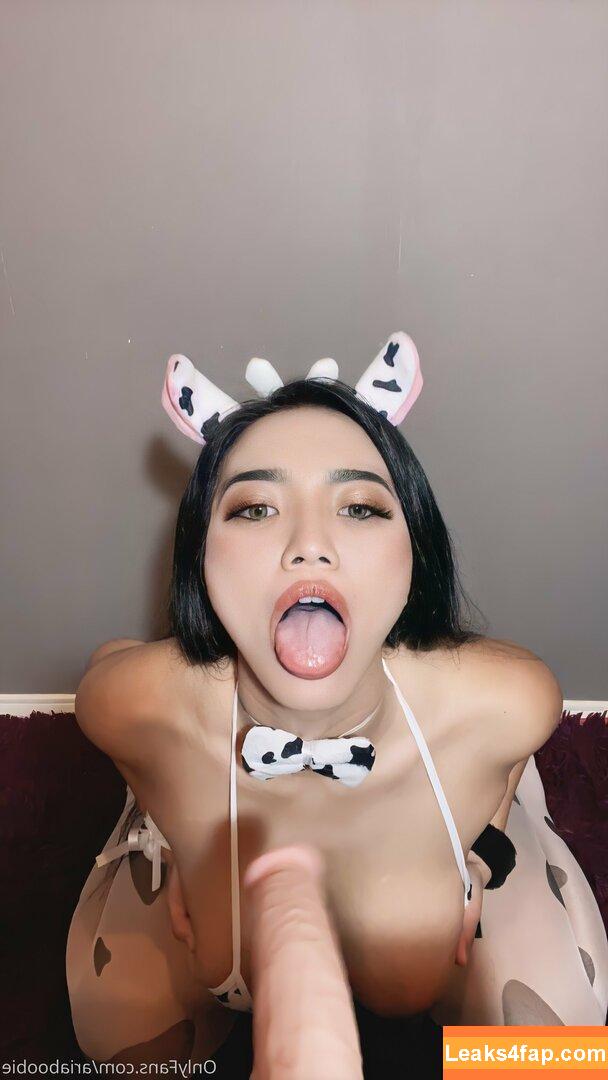 Ariaboobie / AngelicCherryres / aboobies / ariaboob / itsAriaBB leaked photo photo #0034