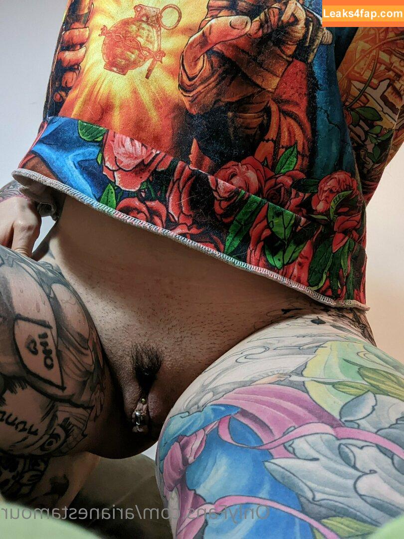 Ariane Saint Amour / ariane_st.amour leaked photo photo #0630