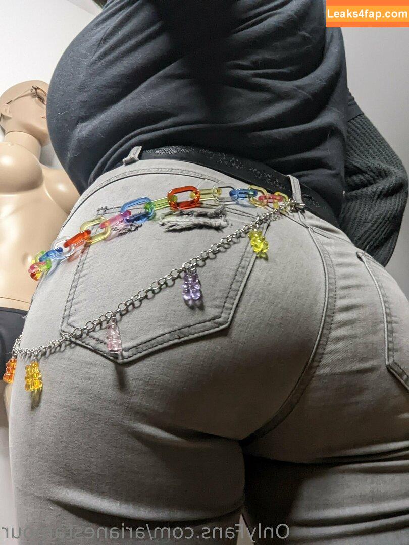 Ariane Saint Amour / ariane_st.amour leaked photo photo #0935