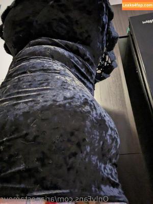 Ariane Saint Amour photo #1262